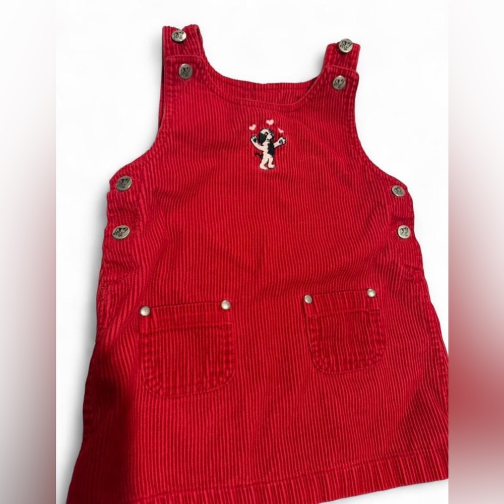 Big dogs 18-24 month jumper dress
